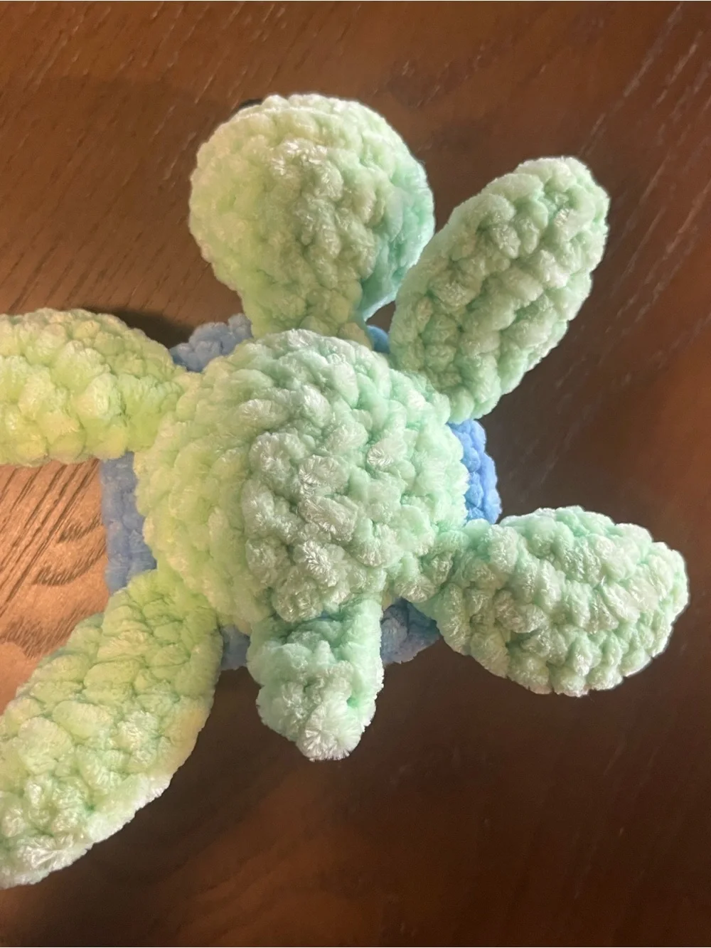 Crocheted blueberry turtle